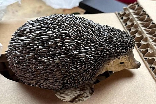 Филипп Киркоров преподнес Ксении Собчак необычный подарок