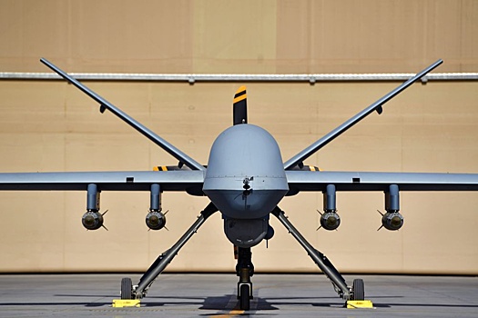 НАТО отменило полеты дронов Reaper  у российских границ
