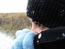 Жительница села застряла в заборе и замерзла насмерть