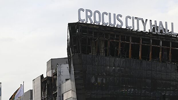 Исполнителей теракта в «Крокусе» ждал сообщник