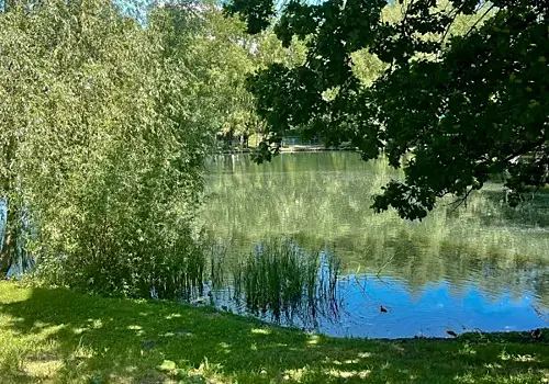 Тело пропавшей школьницы нашли в реке