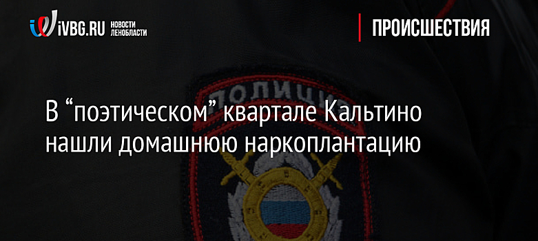 В “поэтическом” квартале Кальтино нашли домашнюю наркоплантацию