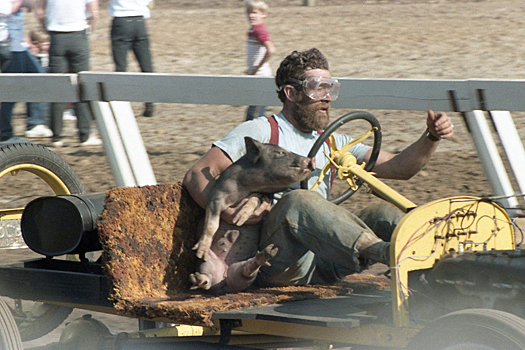 Поросячий восторг на гонках Pig-N-Ford