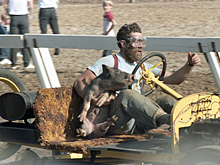 Поросячий восторг на гонках Pig-N-Ford