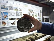 Корреспондент "РГ" побывала в кернохранилище Ханты-Мансийска
