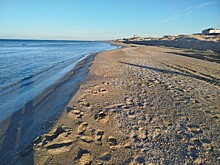 Вице-премьер РФ Савельев рассказал о ликвидации последствий крушения танкеров в Керченском проливе