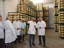 «Семикаракорский» сырзавод увеличил мощности переработки молока