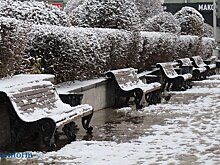 Синоптики: Зима скоро вернется, но ненадолго