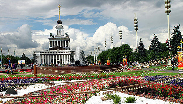 Москвичи смогут сделать селфи с моржом