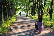 Петербургские депутаты защитили скверы от застройки