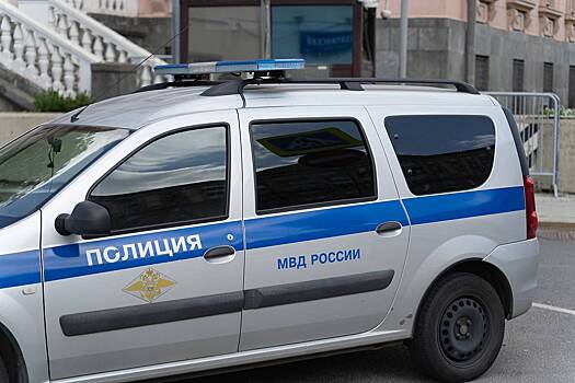 Полиция начала розыск жестоко избившего российскую инста-модель в Москве