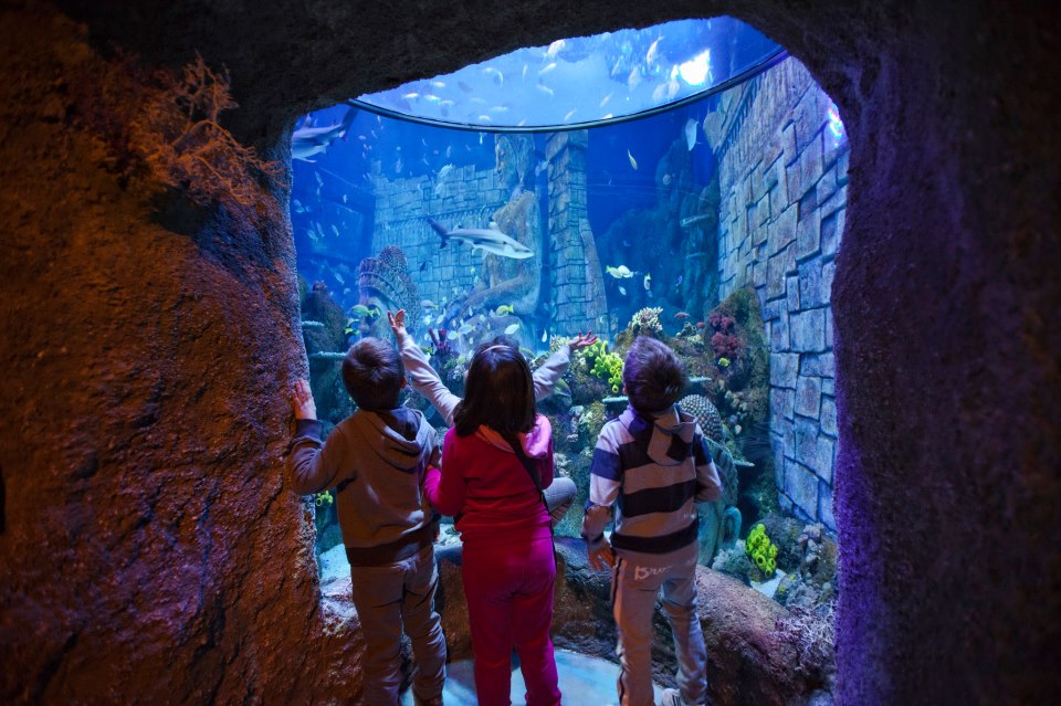 Аквариум Sea Life, Езоло, Венето, Италия, Европа