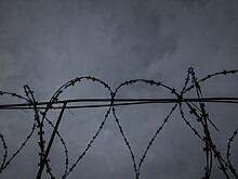 67-летняя пенсионерка и её подельники осуждены за незаконный оборот наркотиков