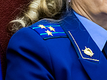 Жительница Новосибирской области получила срок за оскорбление прокурора