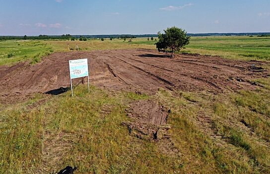 В Кургане идею воссоздания языческого капища поддержали сорок человек