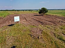 В Кургане идею воссоздания языческого капища поддержали сорок человек