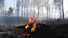 Площадь лесного пожара в Магаданской области достигла 13 гектаров