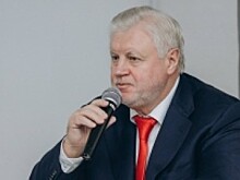 Депутат Госдумы Миронов предложил ввести «родительские зарплаты» для неработающих россиян