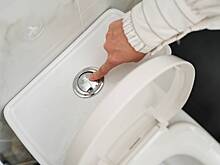 Малышева назвала способ определить серьезную болезнь у мужчины по унитазу