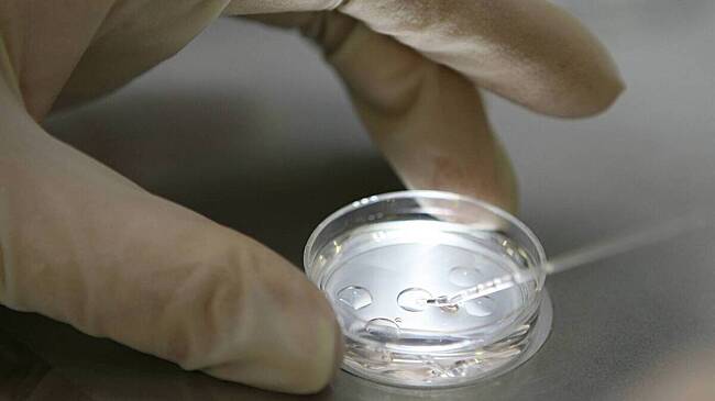 С годами мозг человека местами расширяется: выводы ученых