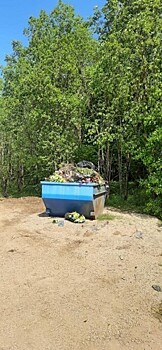 На Литвиновском кладбище поставят дополнительный мусорный контейнер