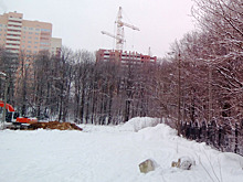 Дом-гигант закроет въезд в парк и трассу Прокуророва