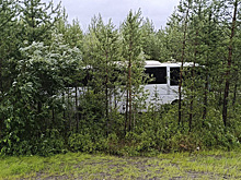 Между Губкинским и Муравленко автобус с вахтовиками вылетел в кювет