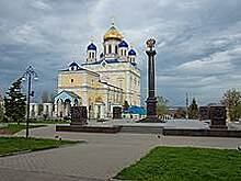 Оппозиция идет на Елец