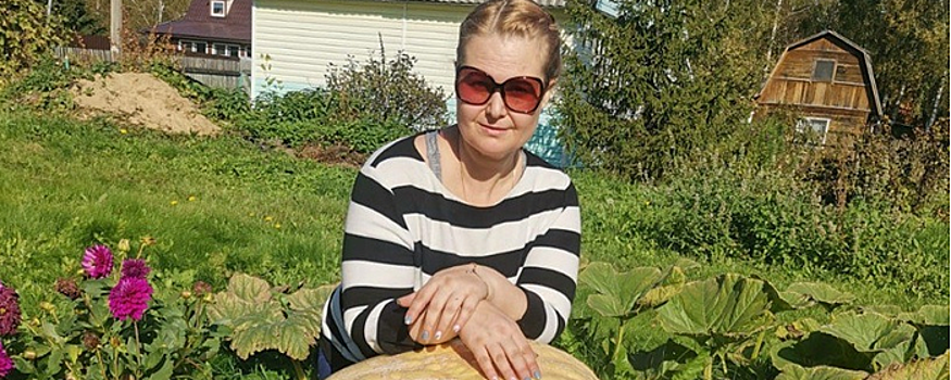 В Красногорске вырастили 80-килограммовую тыкву