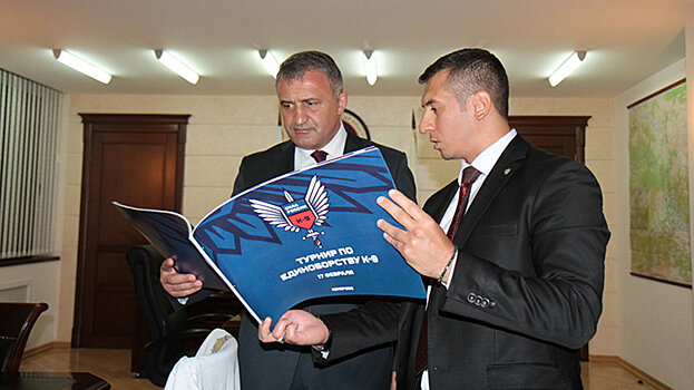 Юбилей признания Южной Осетии отметят турниром профессиональных бойцов