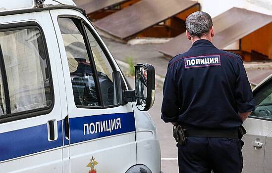 Пропавших в российском регионе детей нашли