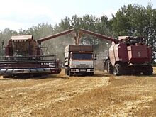 «Мираторг» намерен купить орловский «Агро-Продукт»