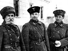 Сколько казаков-предателей воевало против СССР в Великую Отечественную