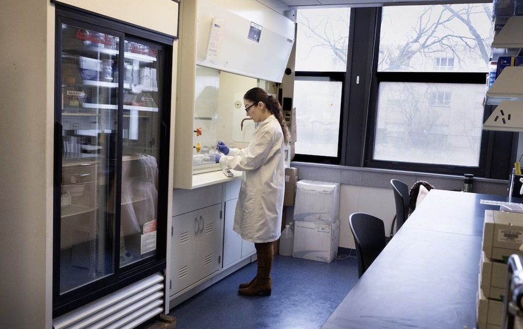 Физики получили жидкость с эффектом формы