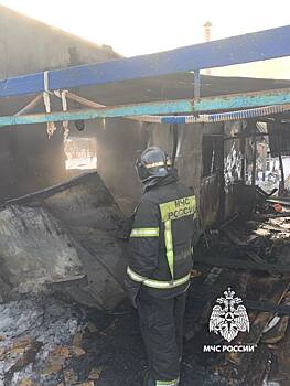 На пожаре в Нежинском сельсовете погиб человек