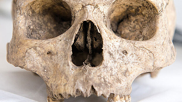 В Мексике нашли более 160 человеческих черепов