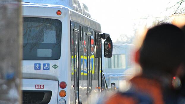 Модернизацию системы общественного транспорта планируют провести в Вологде под патронажем Госкорпорации развития
