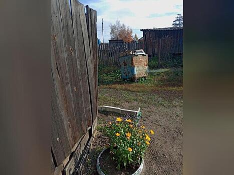 «Олерон» не вывозит мусор с одной из улиц краевого центра на протяжении двух недель