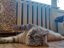 Почти все школы и детсады Ижевска вновь подключили к отоплению