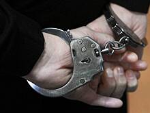 Россиянке дали срок за истязания и приковывание сына цепью к батарее