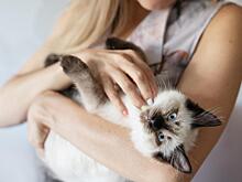 Тискайте на здоровье. Врач рассказала, как котики умеют лечить