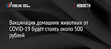 В Россельхознадзоре назвали стоимость вакцины от COVID-19 для животных