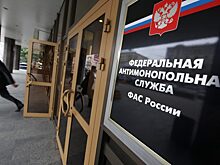 ФАС возбудила дело из-за торгов на возобновляемые источники энергии