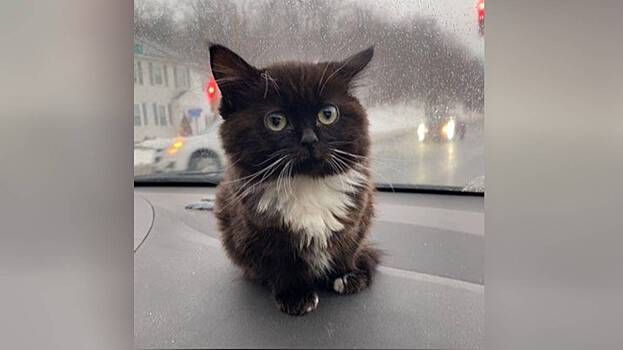 Глупый и смешной: что означает слово «чмоня» и когда его уместно использовать