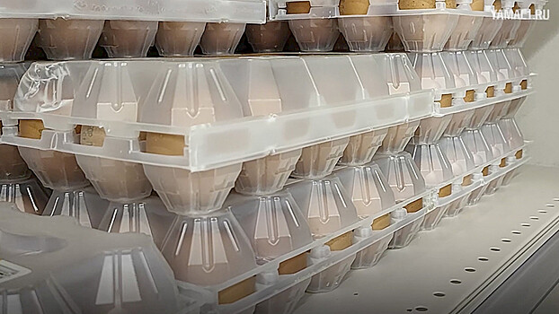 В России ожидается снижение цен на куриные яйца