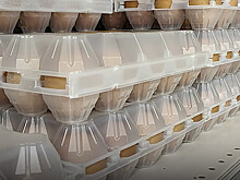 В России ожидается снижение цен на куриные яйца