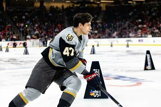 Hockey Feed (США) об обмене Денисенко «Вегасом» в «Нэшвилл» на... ничто: его решающий момент в карьере