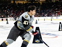Hockey Feed (США) об обмене Денисенко «Вегасом» в «Нэшвилл» на... ничто: его решающий момент в карьере