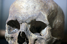 На чердаке московского дома нашли человеческий череп