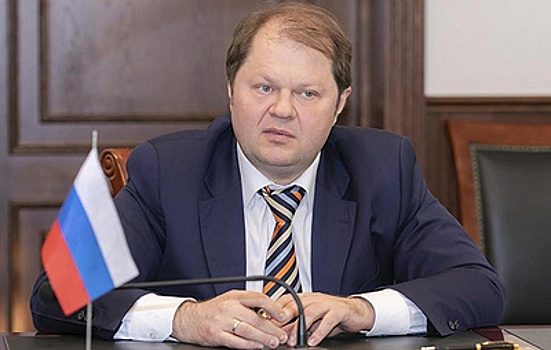 Экс-замглавы Минтранса Токарева осудили на восемь лет